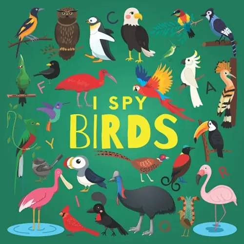 I Spy Birds book cover